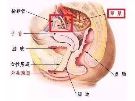 美容院害惨了多少女人滕州男人快告诉你老婆！这些项目千万别再做了！